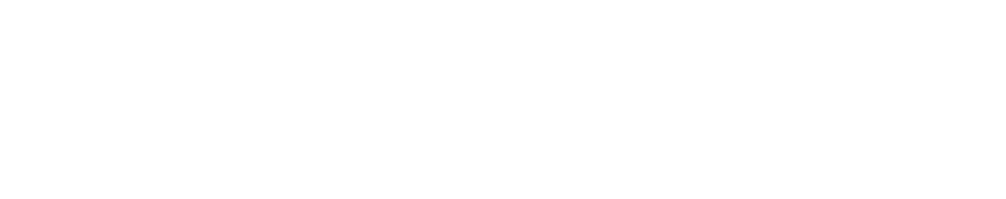 Space Fighter Media